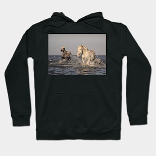 WILD HORSES RUNNING ALONG THE BEACH DESIGN Hoodie